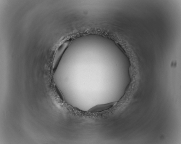 X0000112520144200908171121