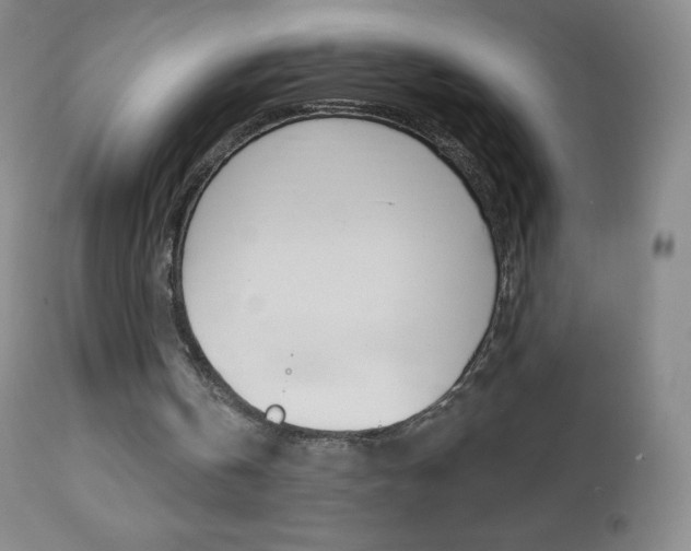 X0000112520146200908171120