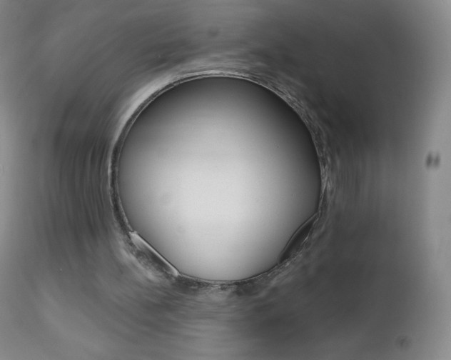 X0000112520148200908171120