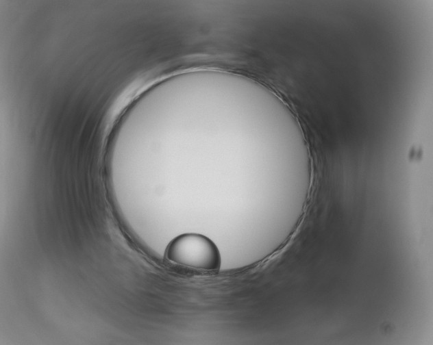 X0000112520150200908171120