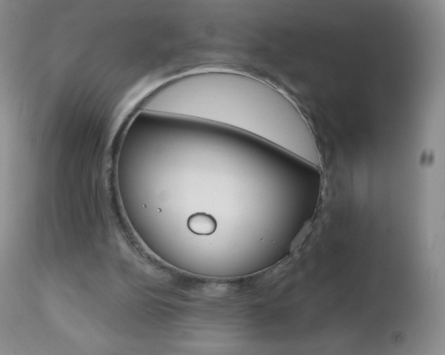 X0000112520152200908171121