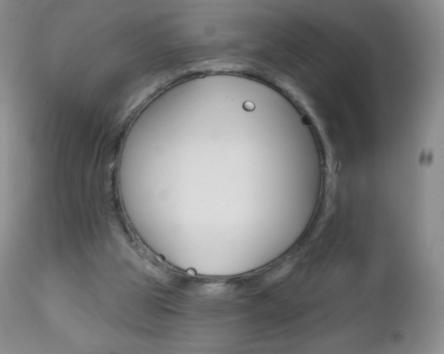 X0000112520153200908171121