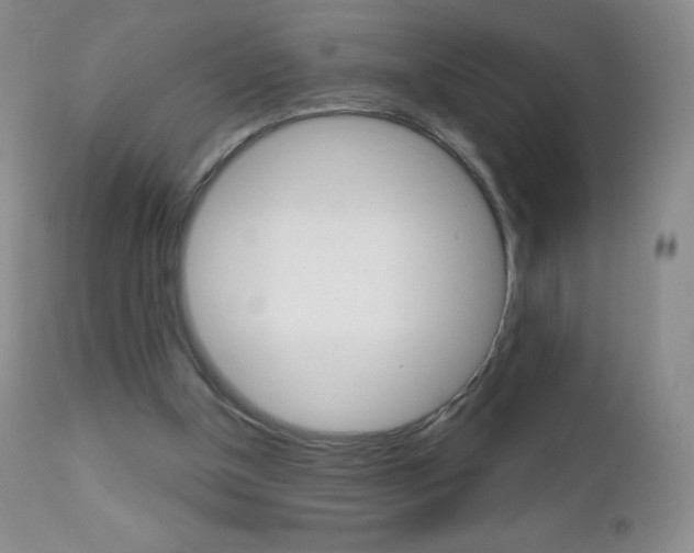 X0000112520154200908171121