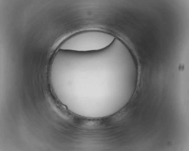 X0000112520155200908171121