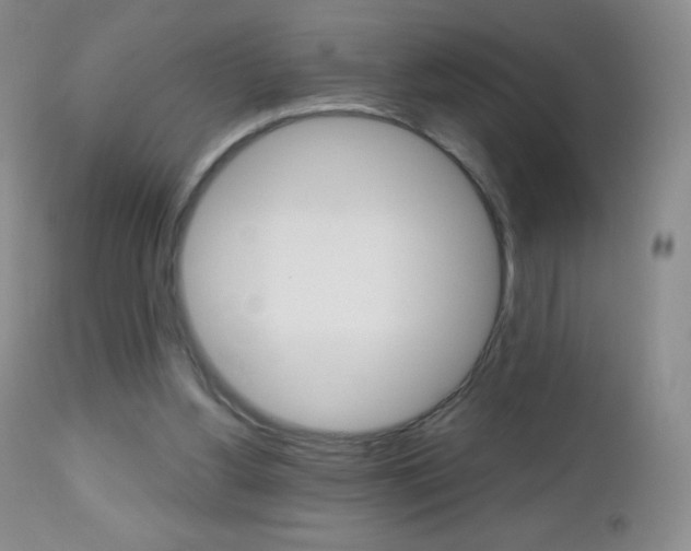 X0000112520156200908171121