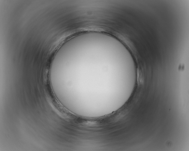 X0000112520157200908171121