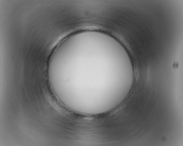 X0000112520159200908171121