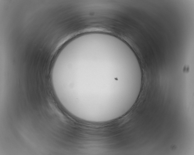 X0000112520160200908171121