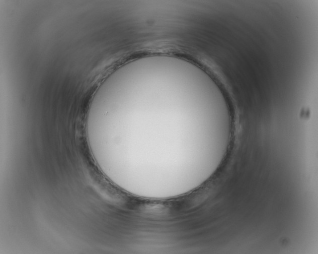 X0000112520161200908171121