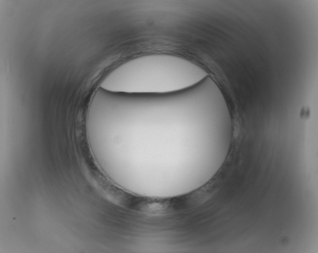 X0000112520163200908171121