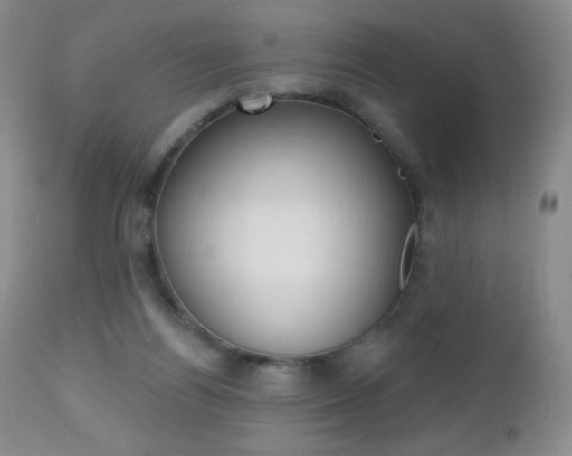 X0000112520164200908171121