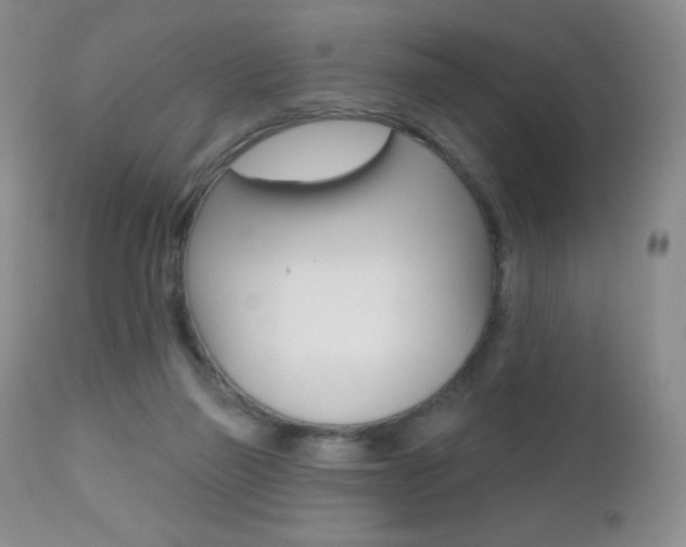 X0000112520165200908171121