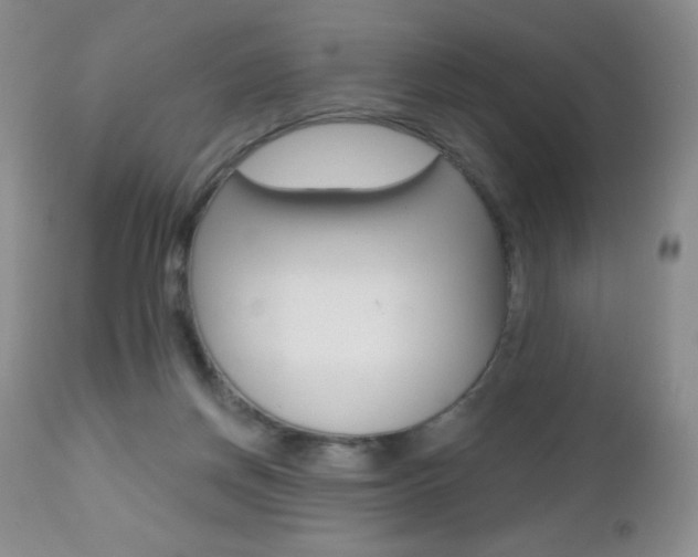 X0000112520166200908171121