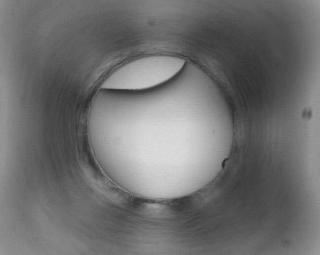 X0000112520167200908171121