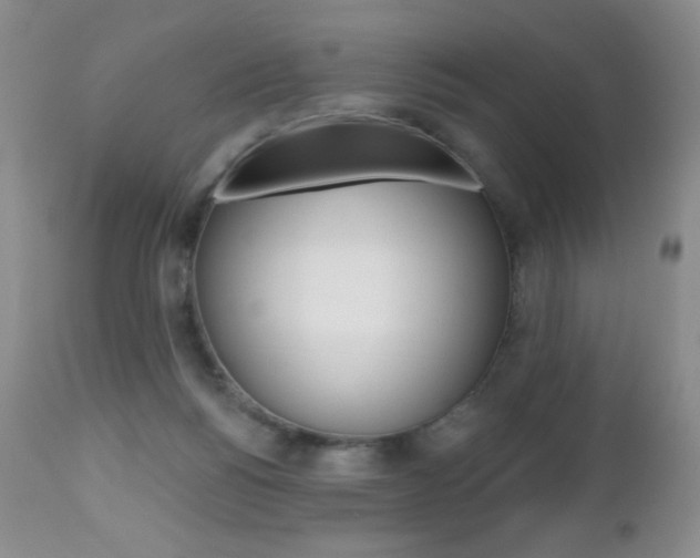X0000112520168200908171121