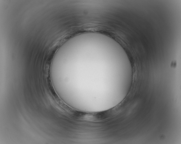 X0000112520171200908171121