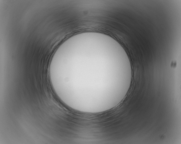X0000112520172200908171121