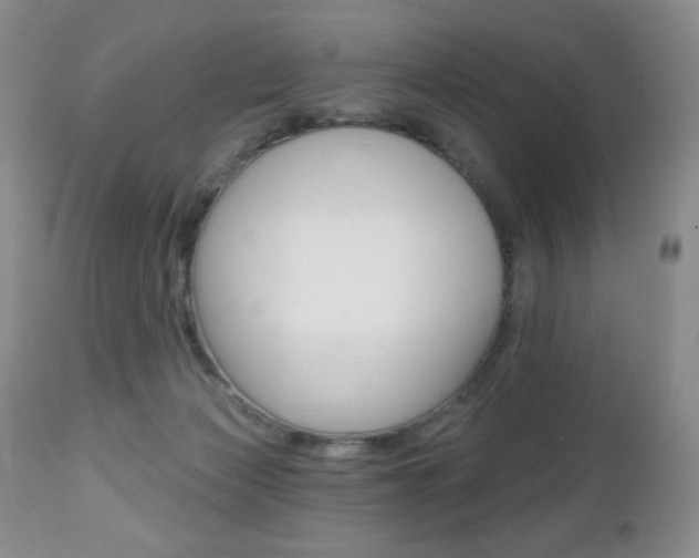 X0000112520173200908171121