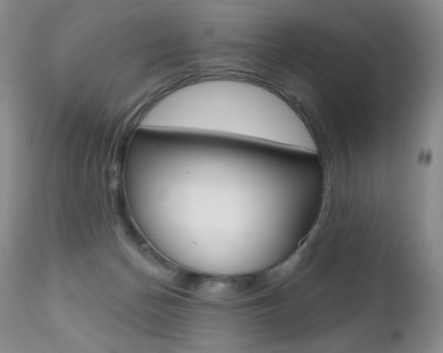 X0000112520174200908171121