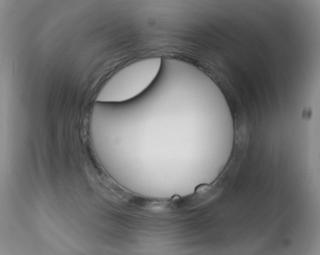 X0000112520175200908171121