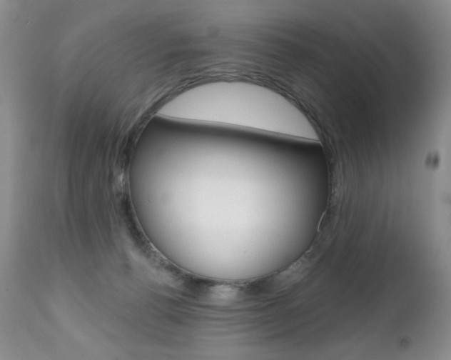 X0000112520176200908171121