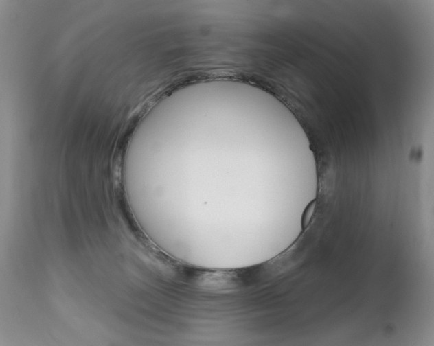 X0000112520179200908171121