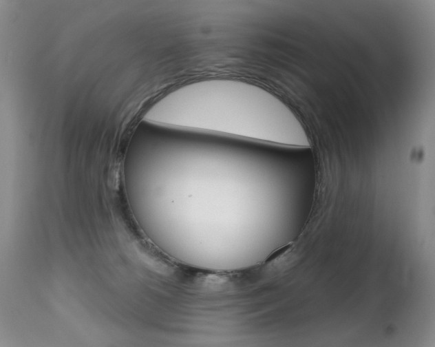X0000112520180200908171121