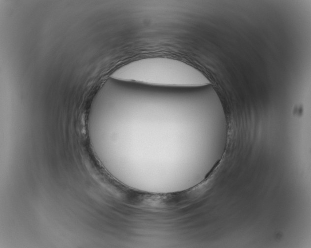 X0000112520182200908171121