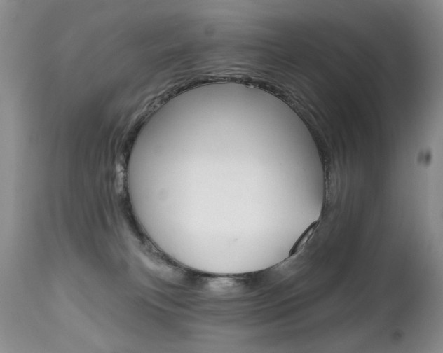 X0000112520183200908171121