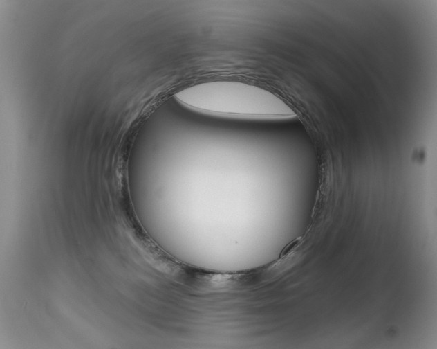 X0000112520184200908171121