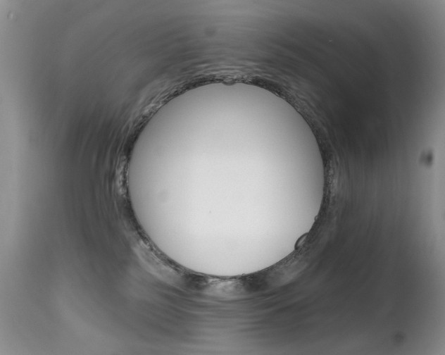 X0000112520185200908171121