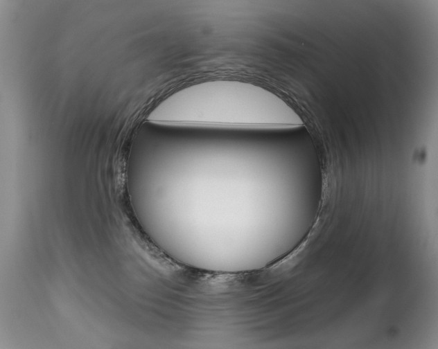 X0000112520186200908171121