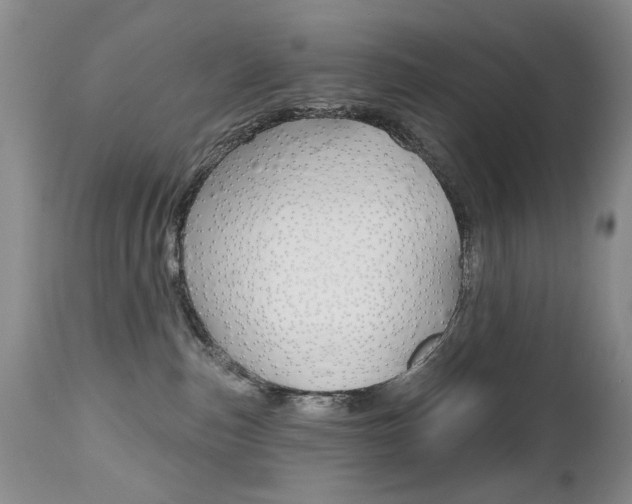 X0000112520187200908171121