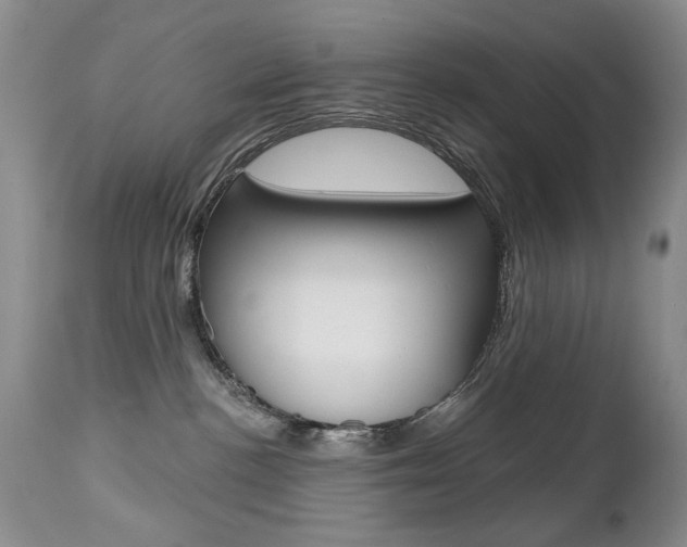 X0000112520188200908171121
