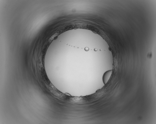 X0000112520189200908171121