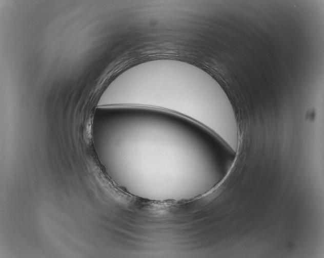 X0000112520190200908171121