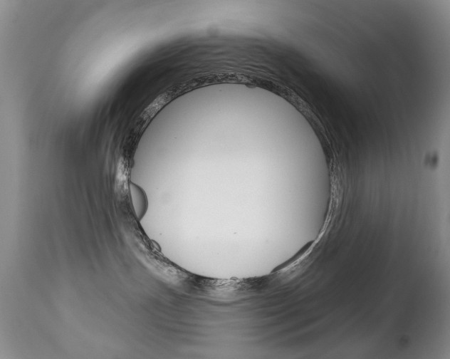 X0000112520191200908171121