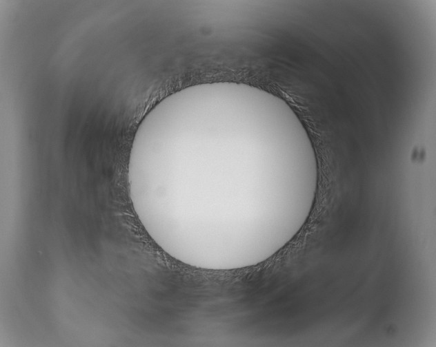 X0000112520192200908171121