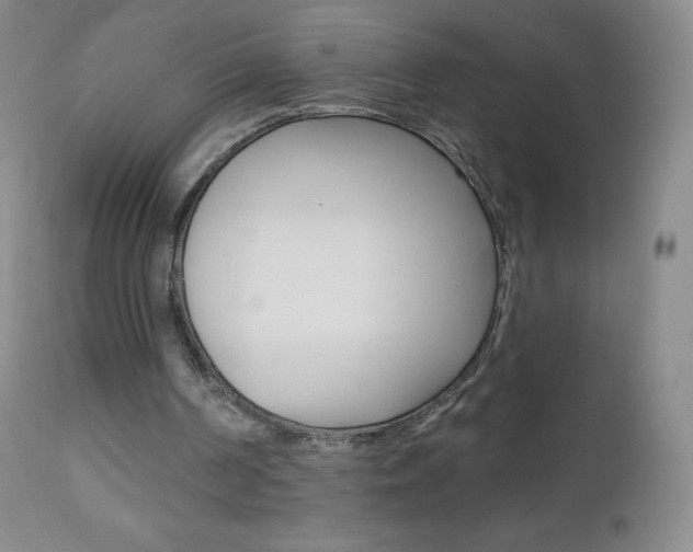 X0000112520194200908171120