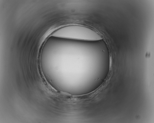 X0000112520195200908171120