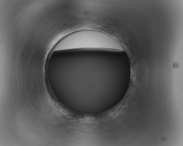 X0000112520196200908171120