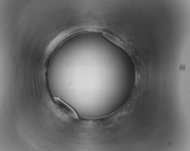 X0000112520197200908171120