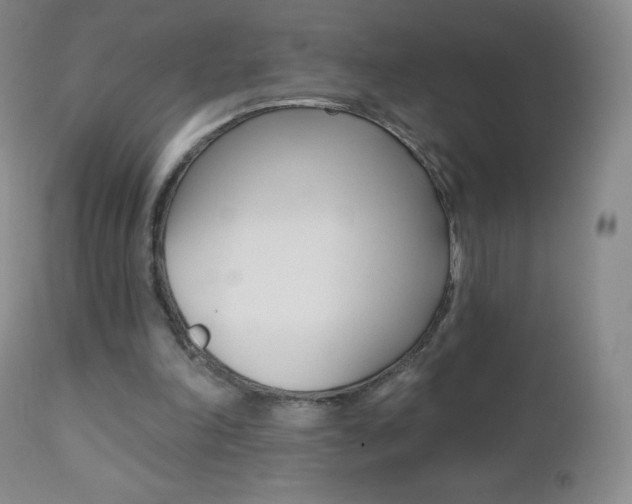 X0000112520198200908171120