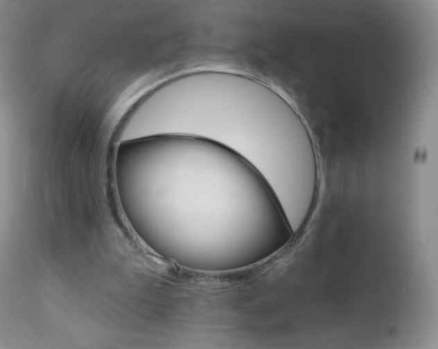 X0000112520199200908171120
