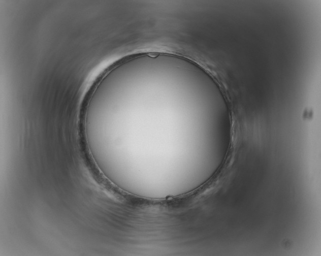 X0000112520200200908171120