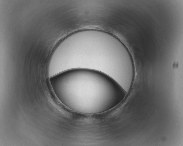 X0000112520201200908171120