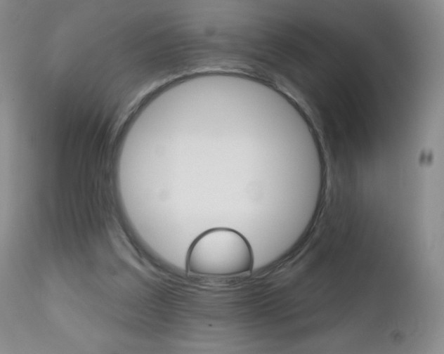 X0000112520203200908171120