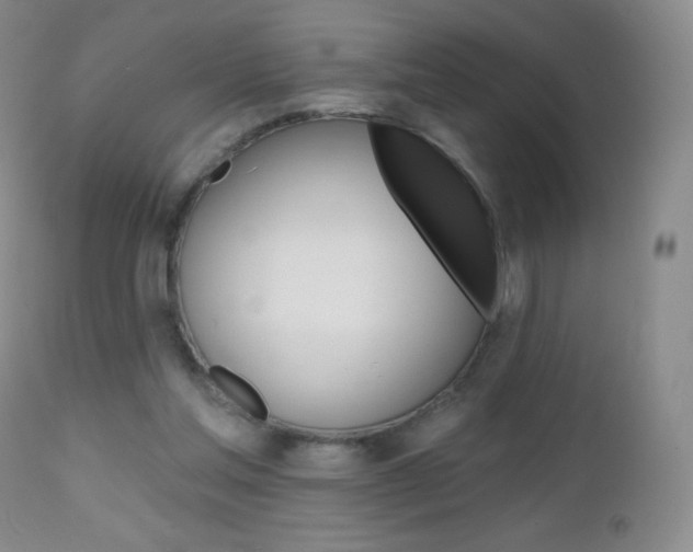 X0000112520205200908171120