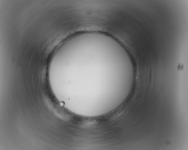 X0000112520206200908171120