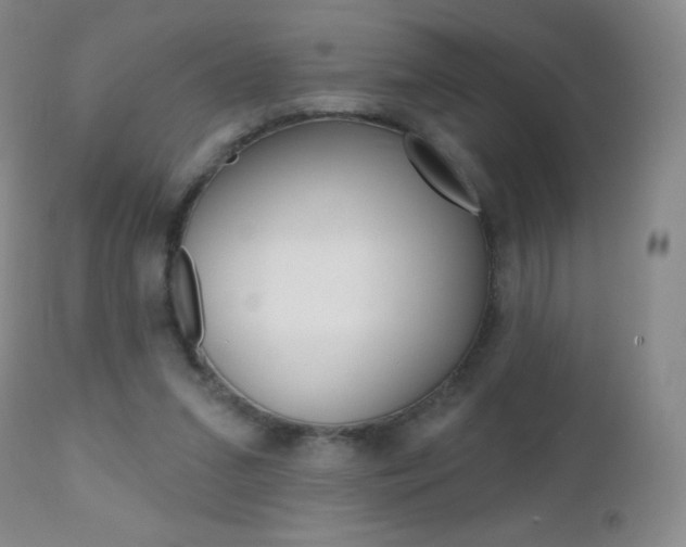 X0000112520207200908171120